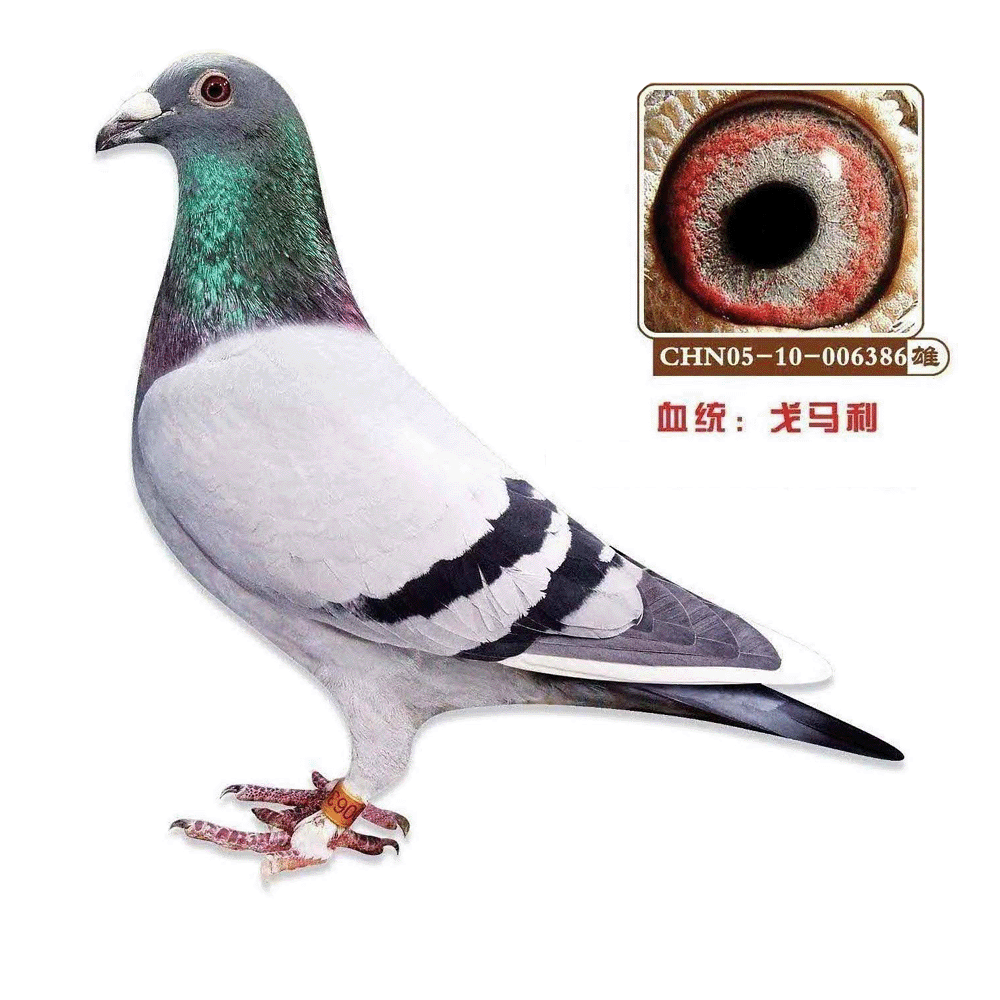 386