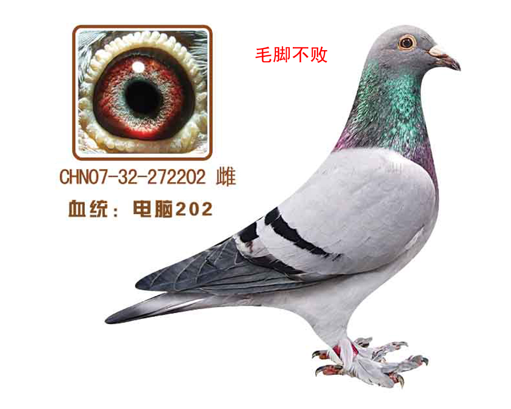 202(ëŲ)