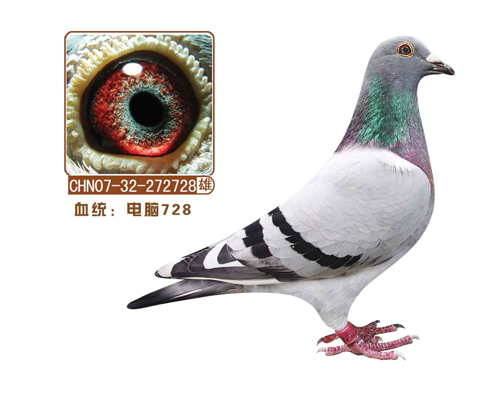 728