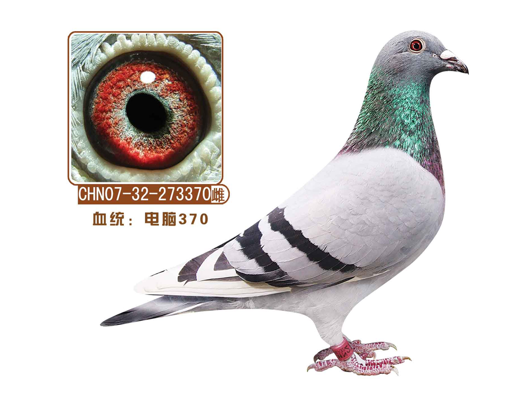 370