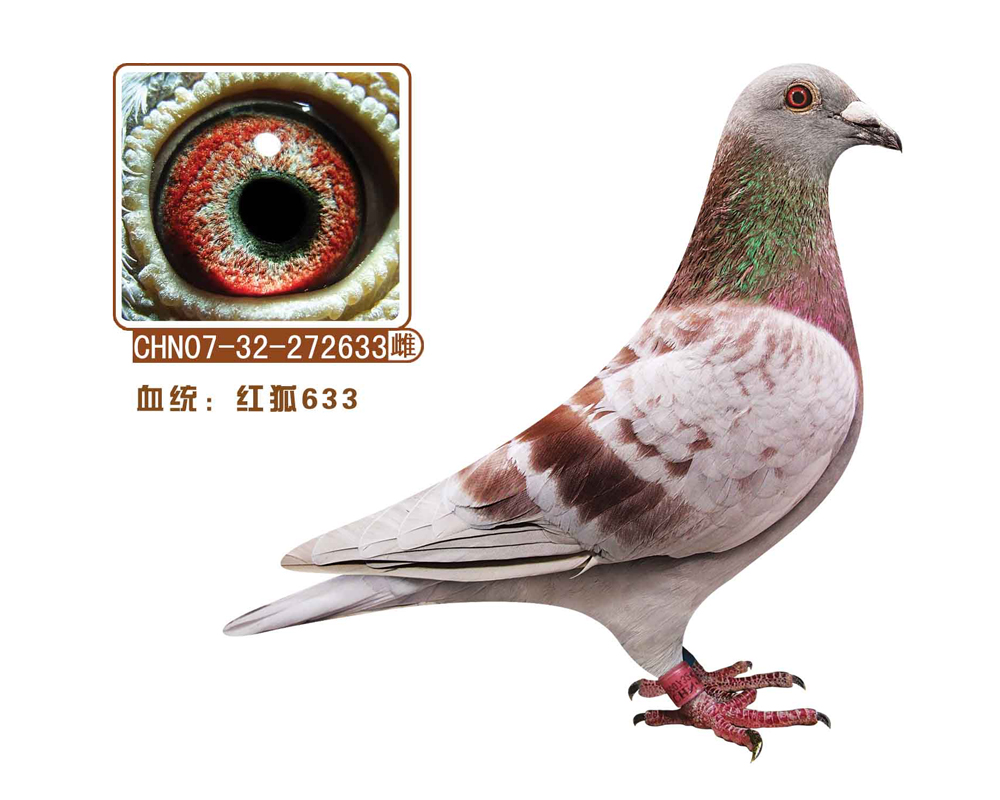 633