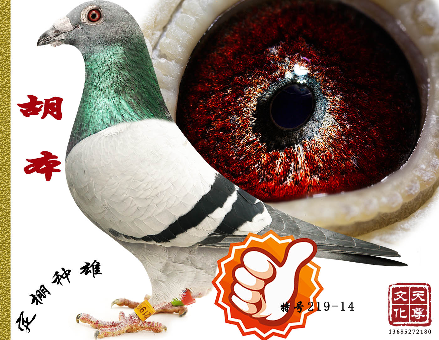       غ219-14