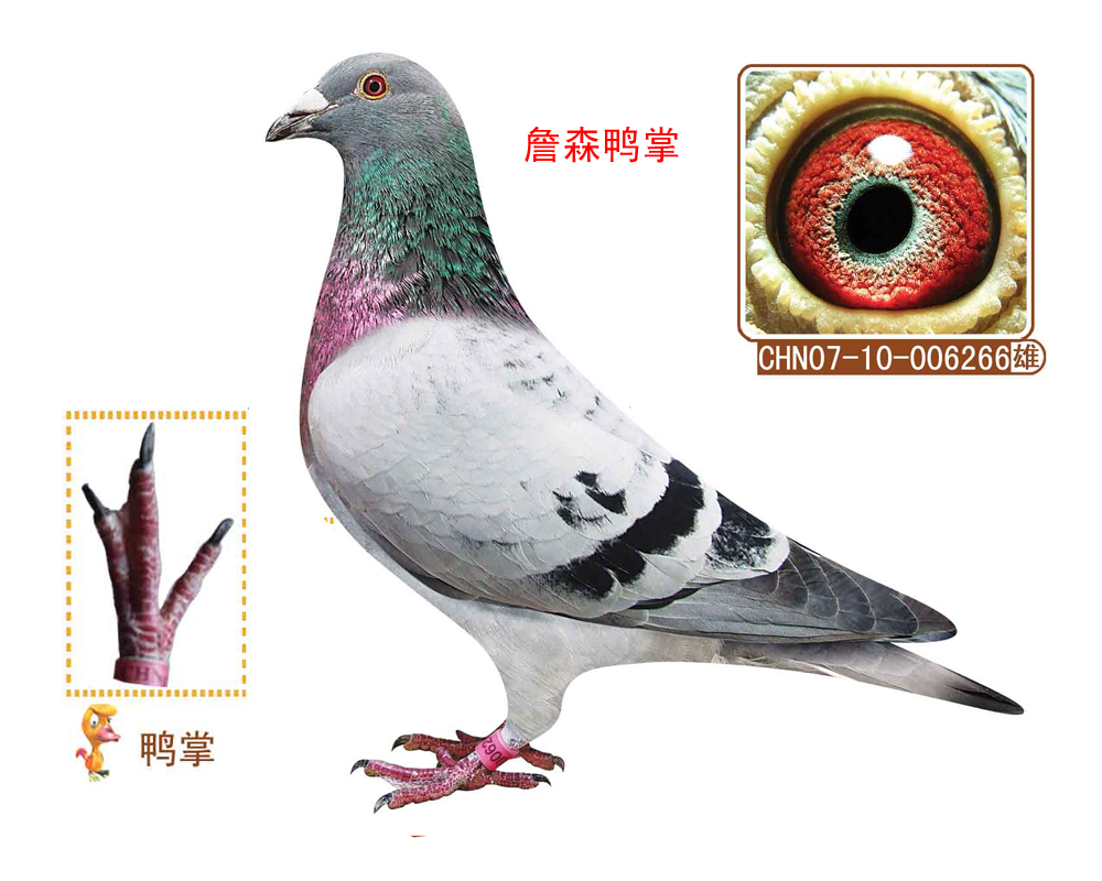 Ѽ(ղɭѼ)