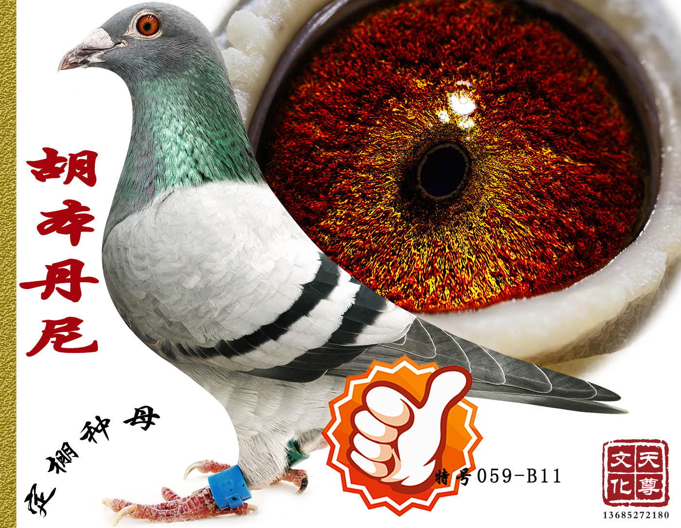       غ057-B11