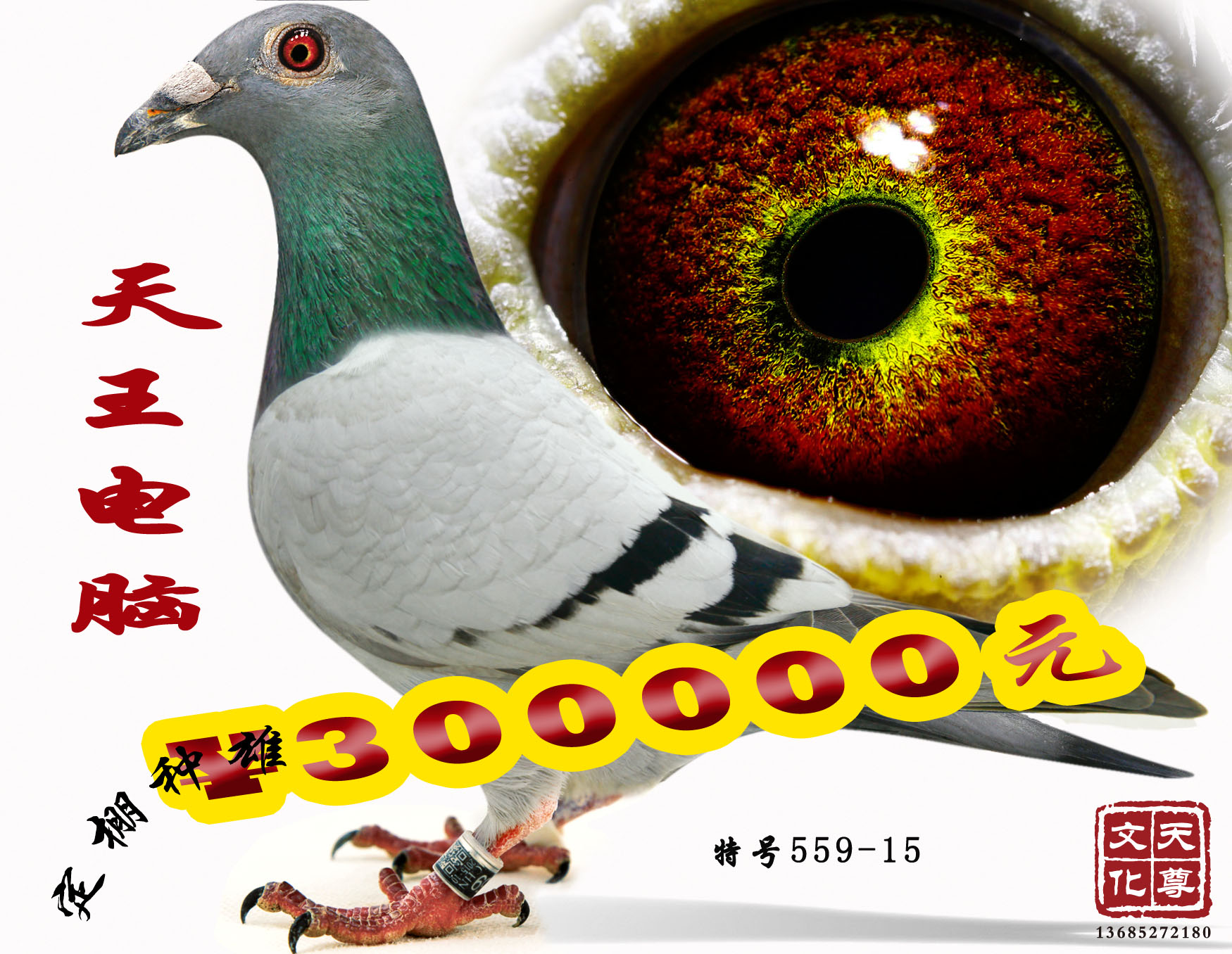       غ559-15