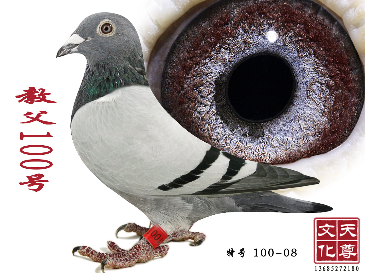 ̸100 غ 100-08