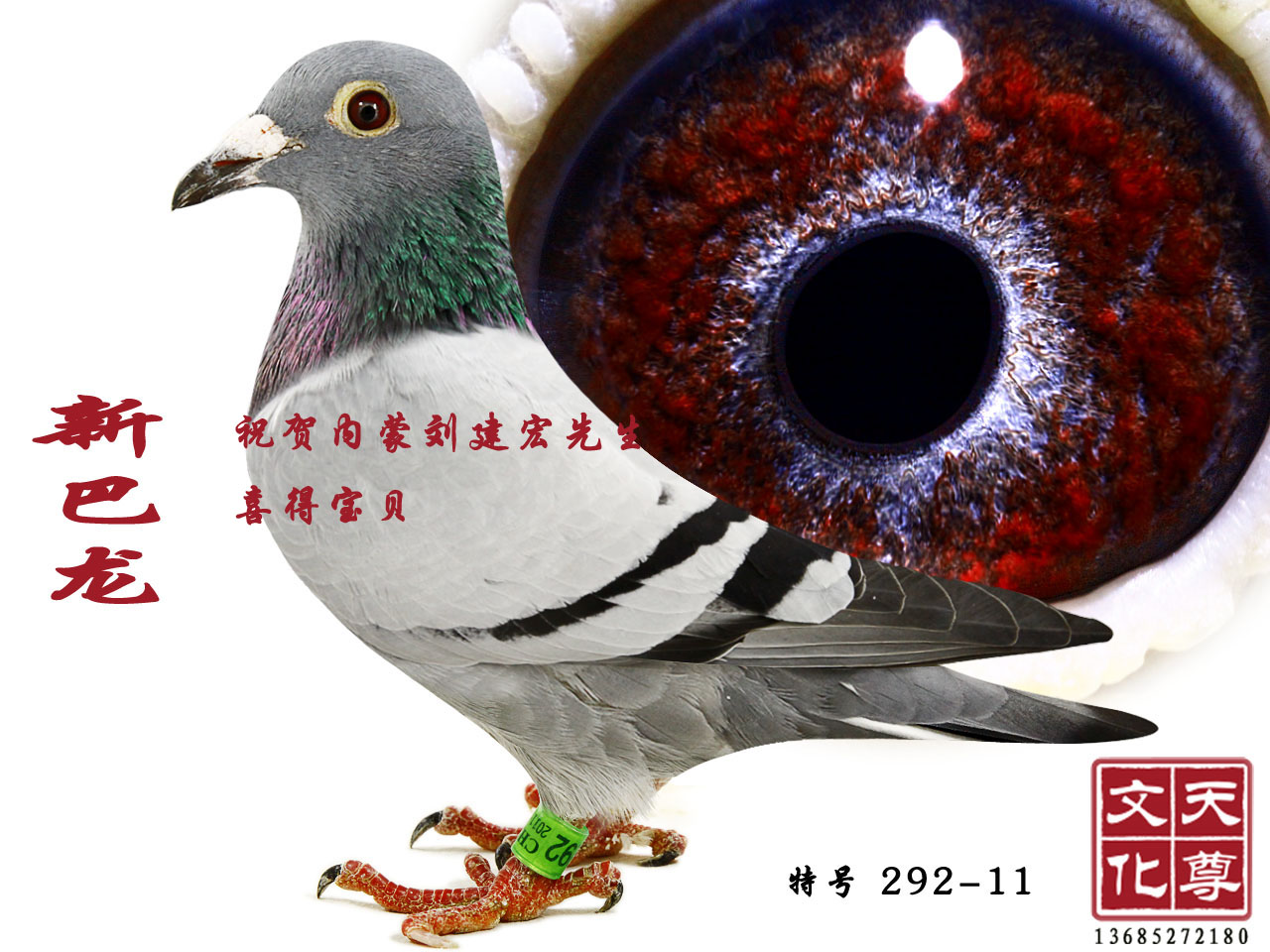 °  غ 292-11