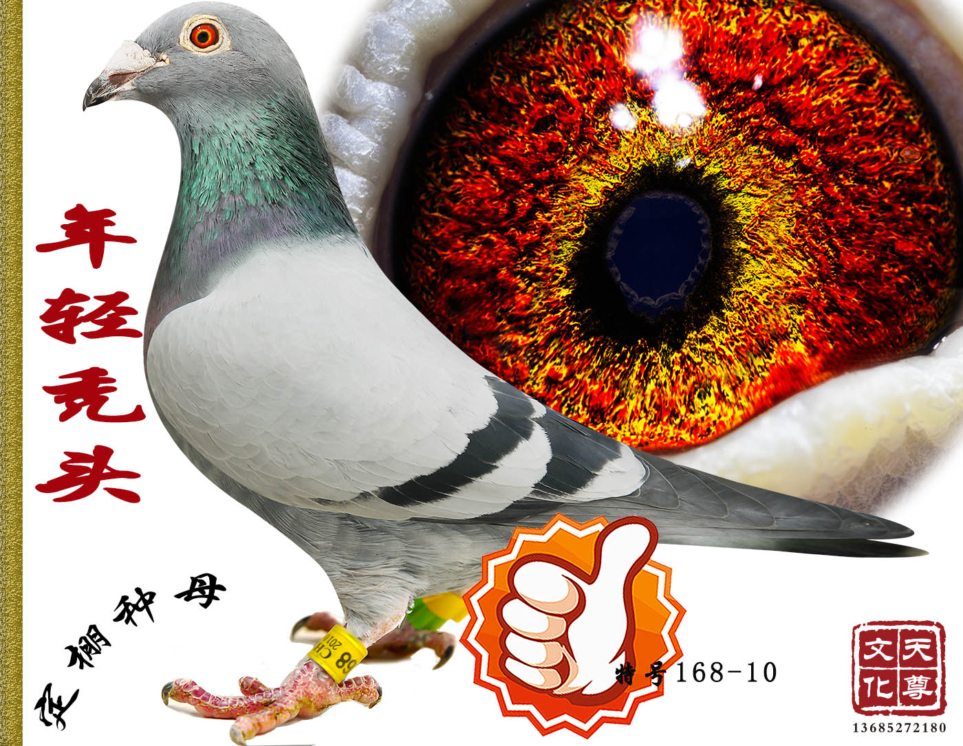 ͺͷʫ  غ 168-10