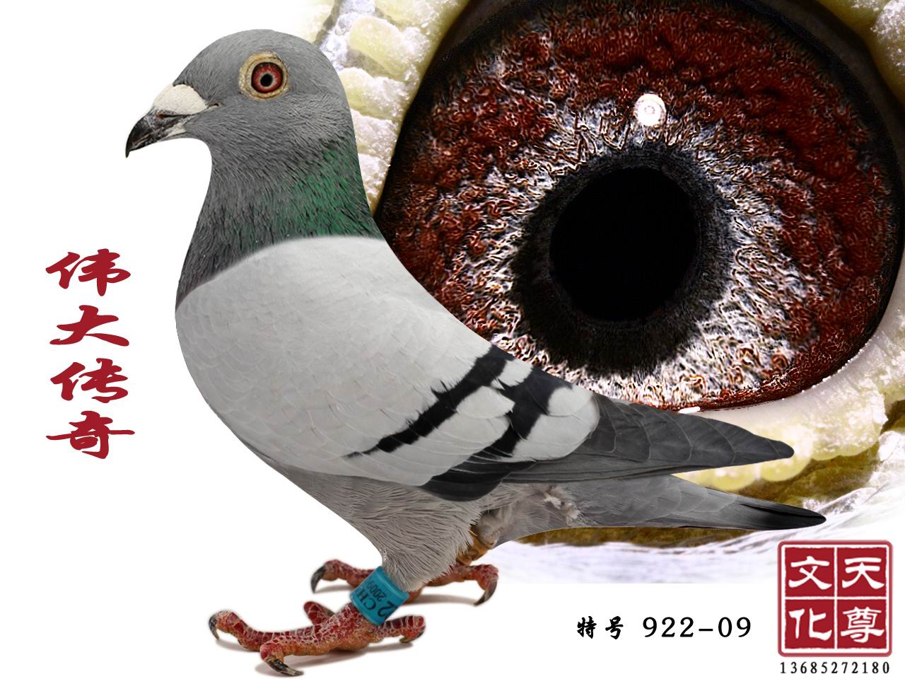 ΰ
