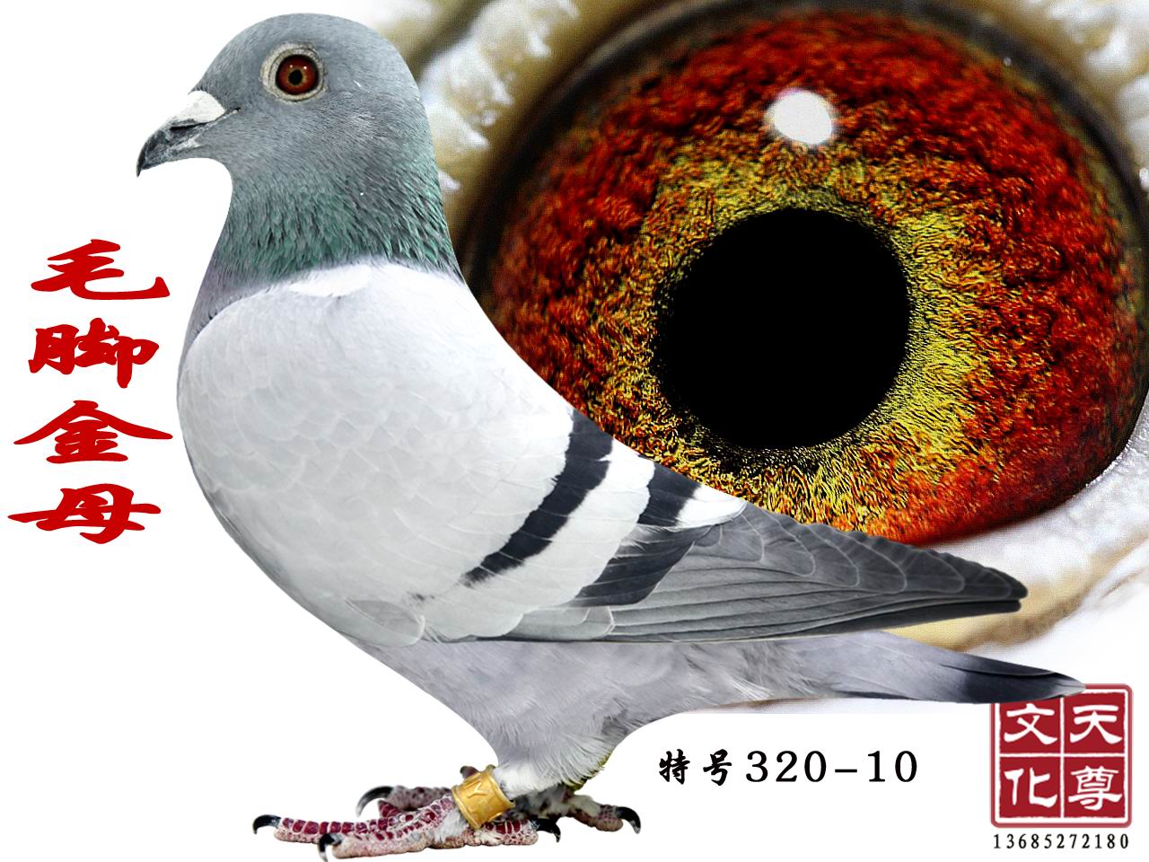 ëŽĸ
