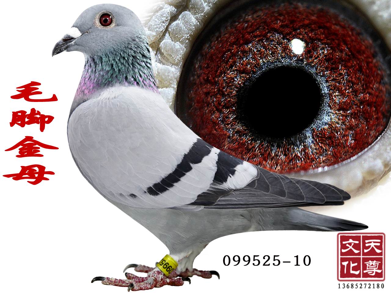 ëŽĸ