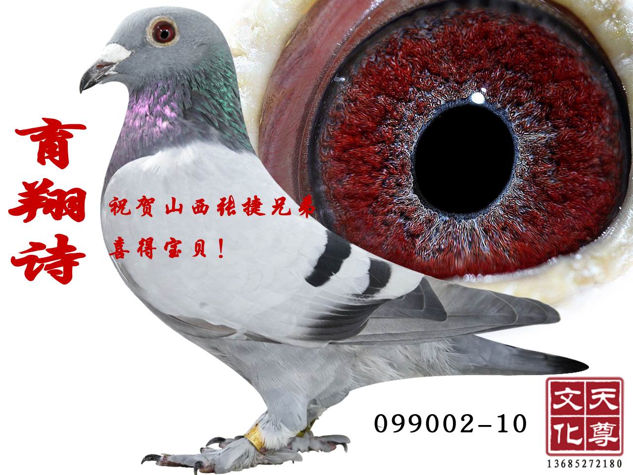 ʫ