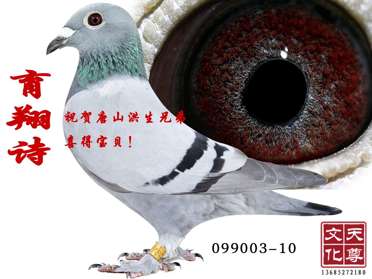 ʫ