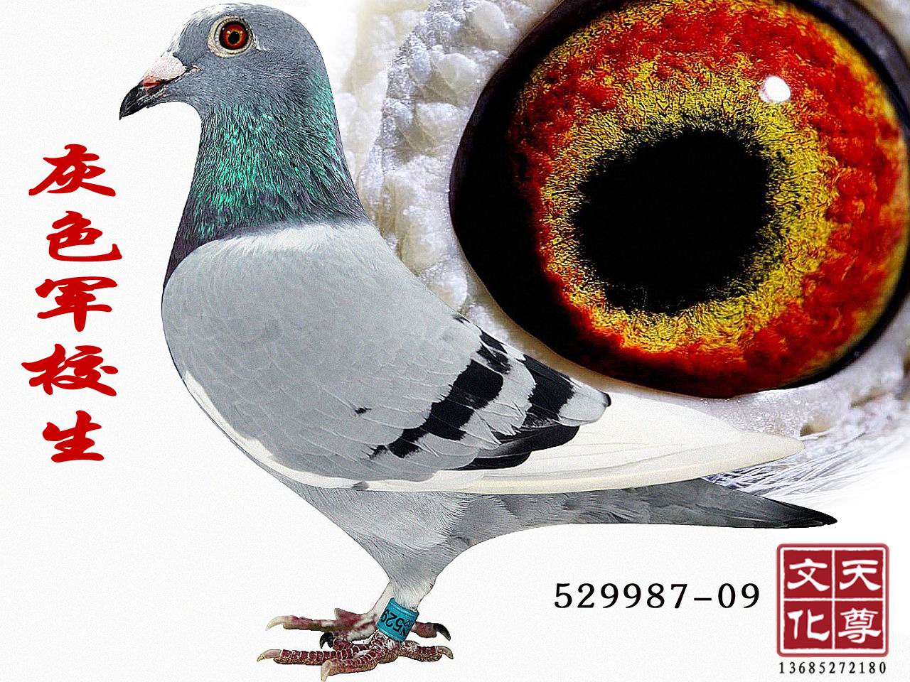 ɫУ