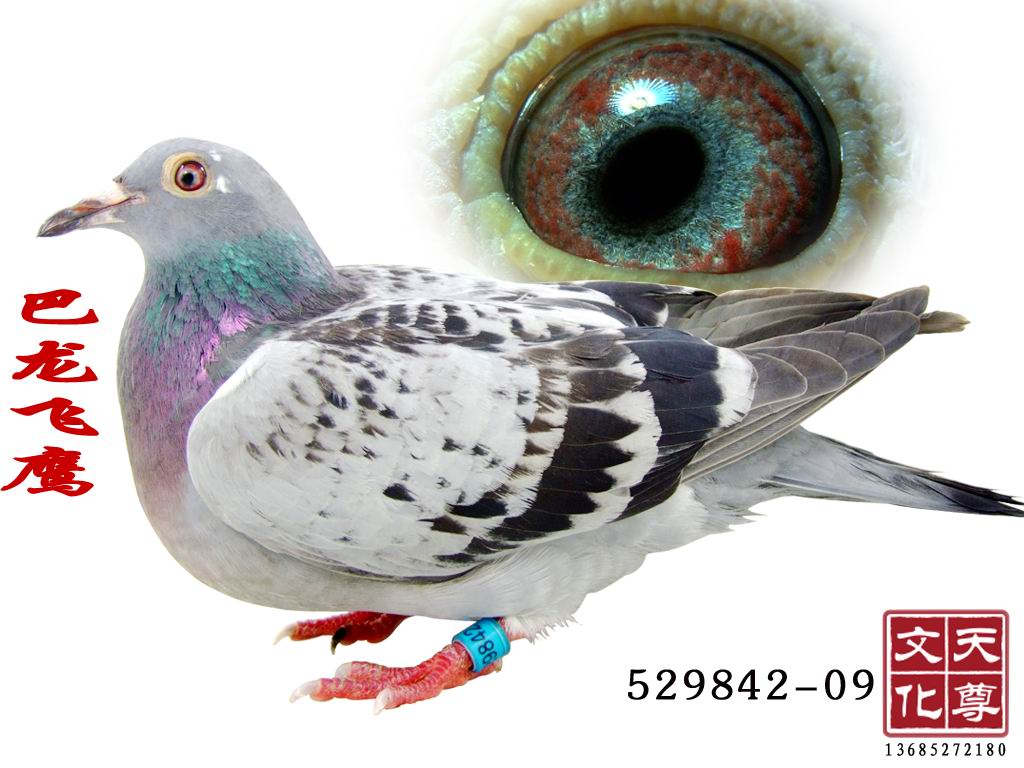 ӥ