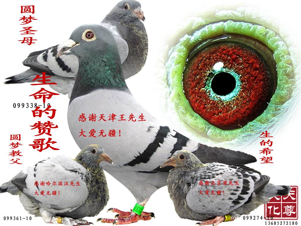 ޽޸