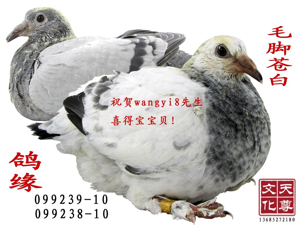 Ե