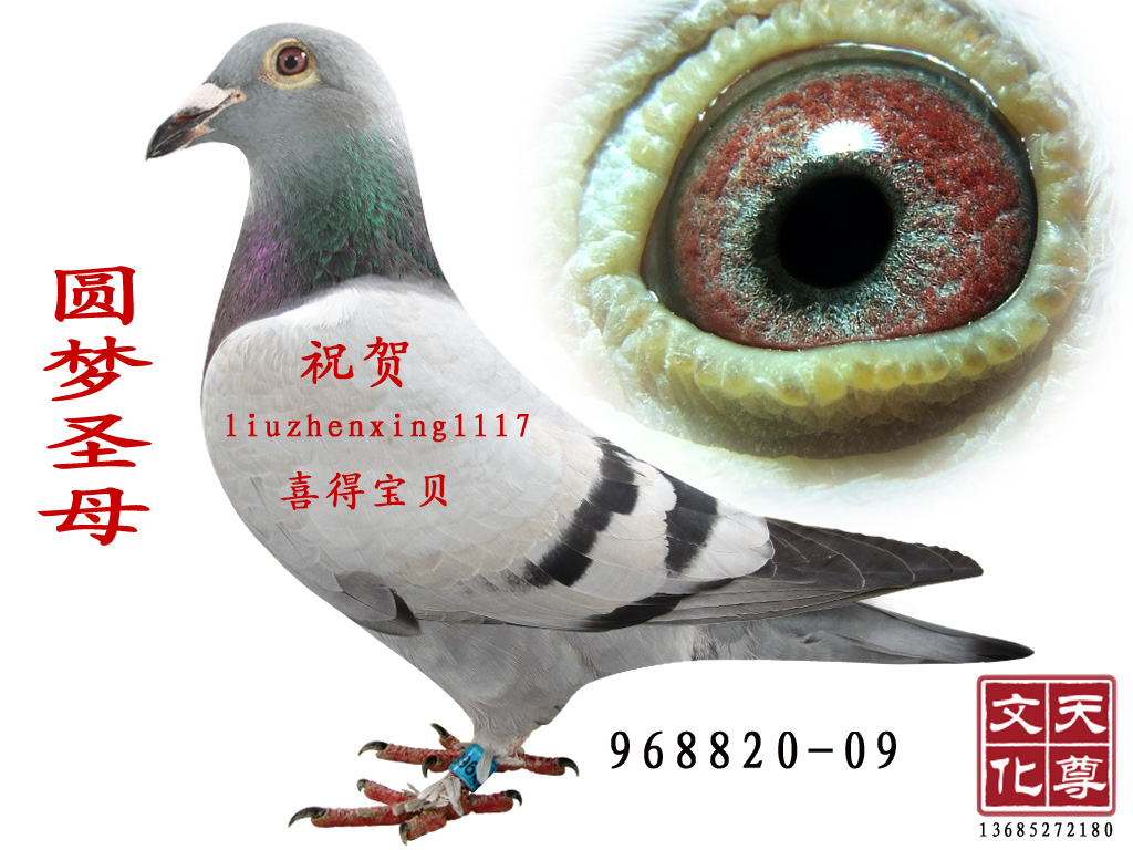Բʥĸ