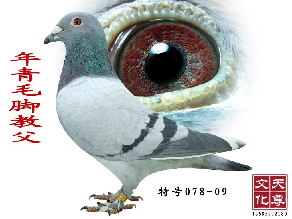 ëŽ̸