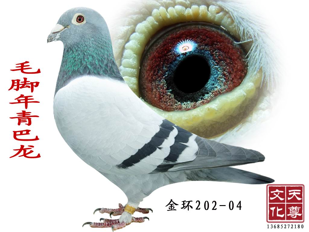 ë