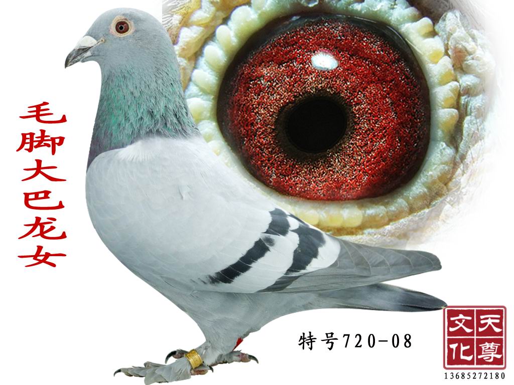 ëŴŮ