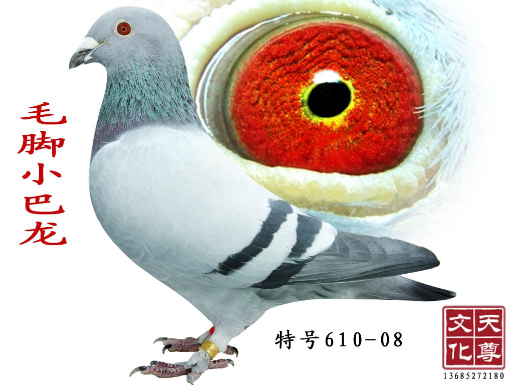 ëС