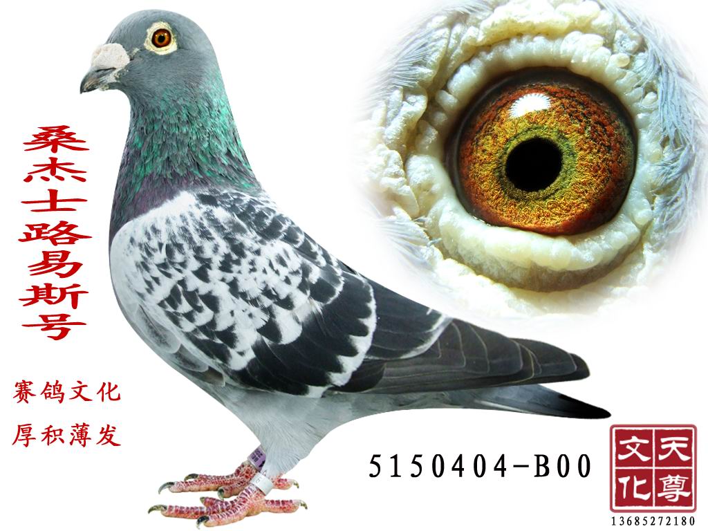 ɣʿ·˹