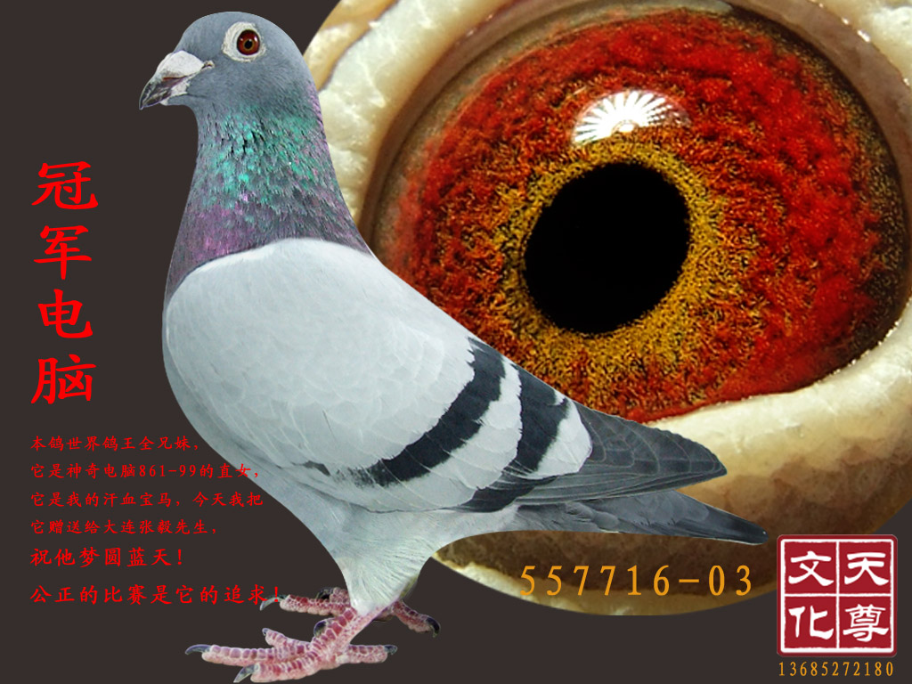 ھ