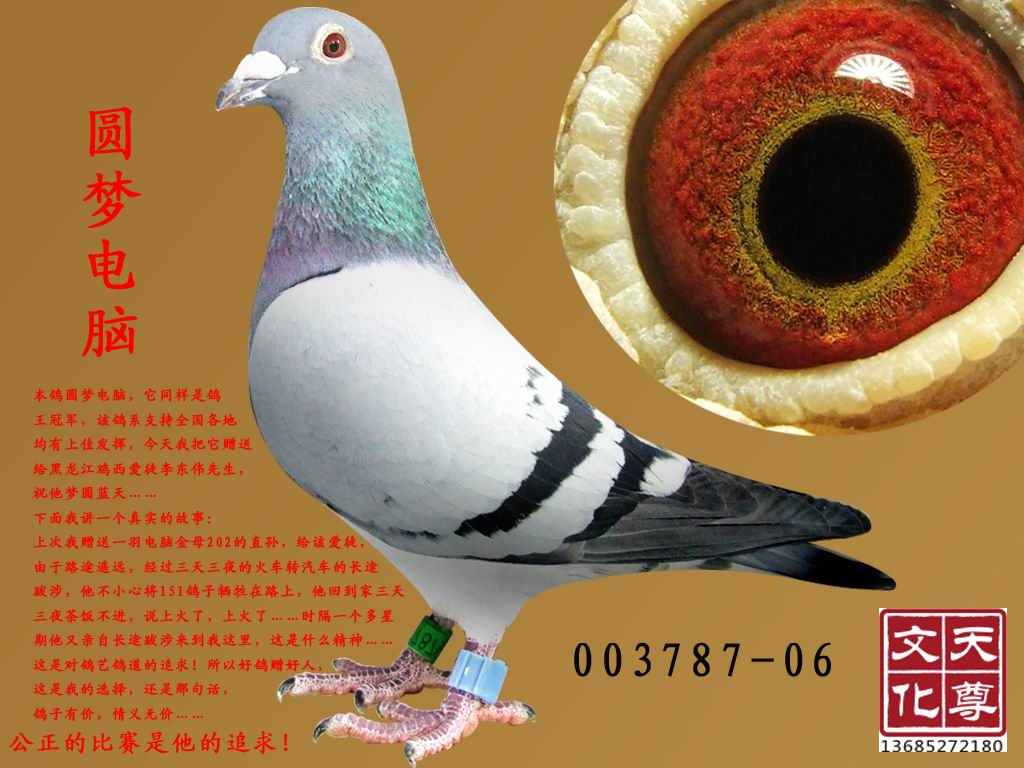 Բε