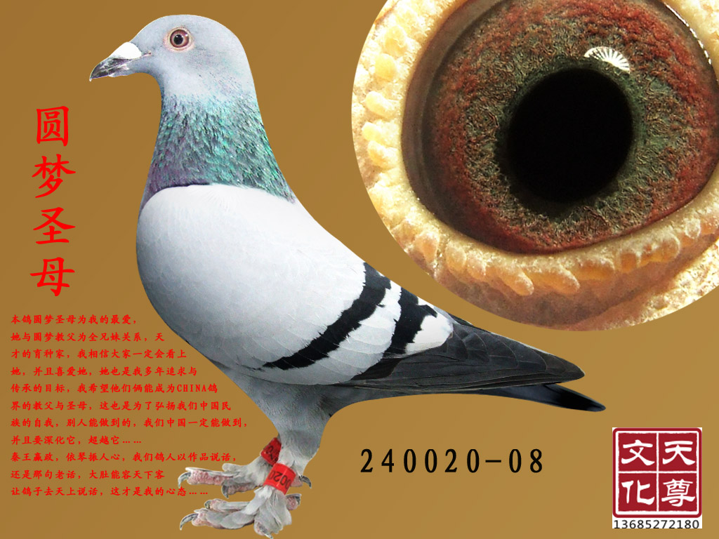 Բʥĸ