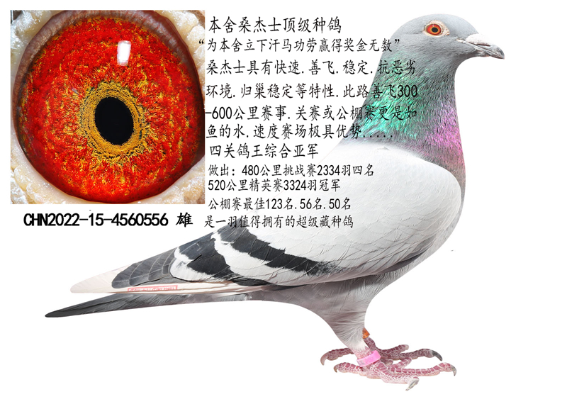 ɣʿ