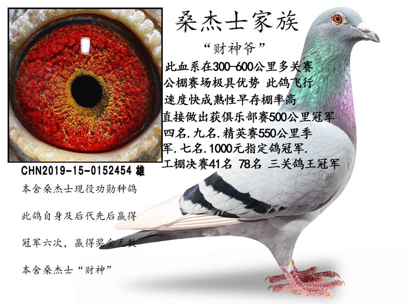 ɣʿ塰ү