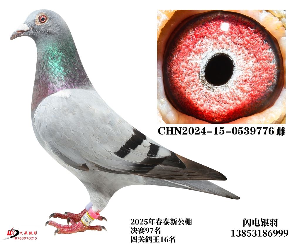 25괺̩¹97/ZD