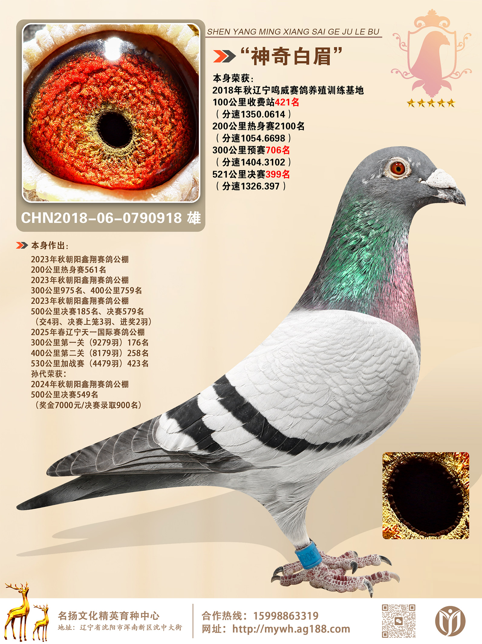 ü빫399