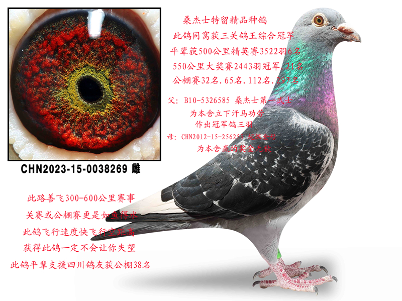 ɣʿСĸ
