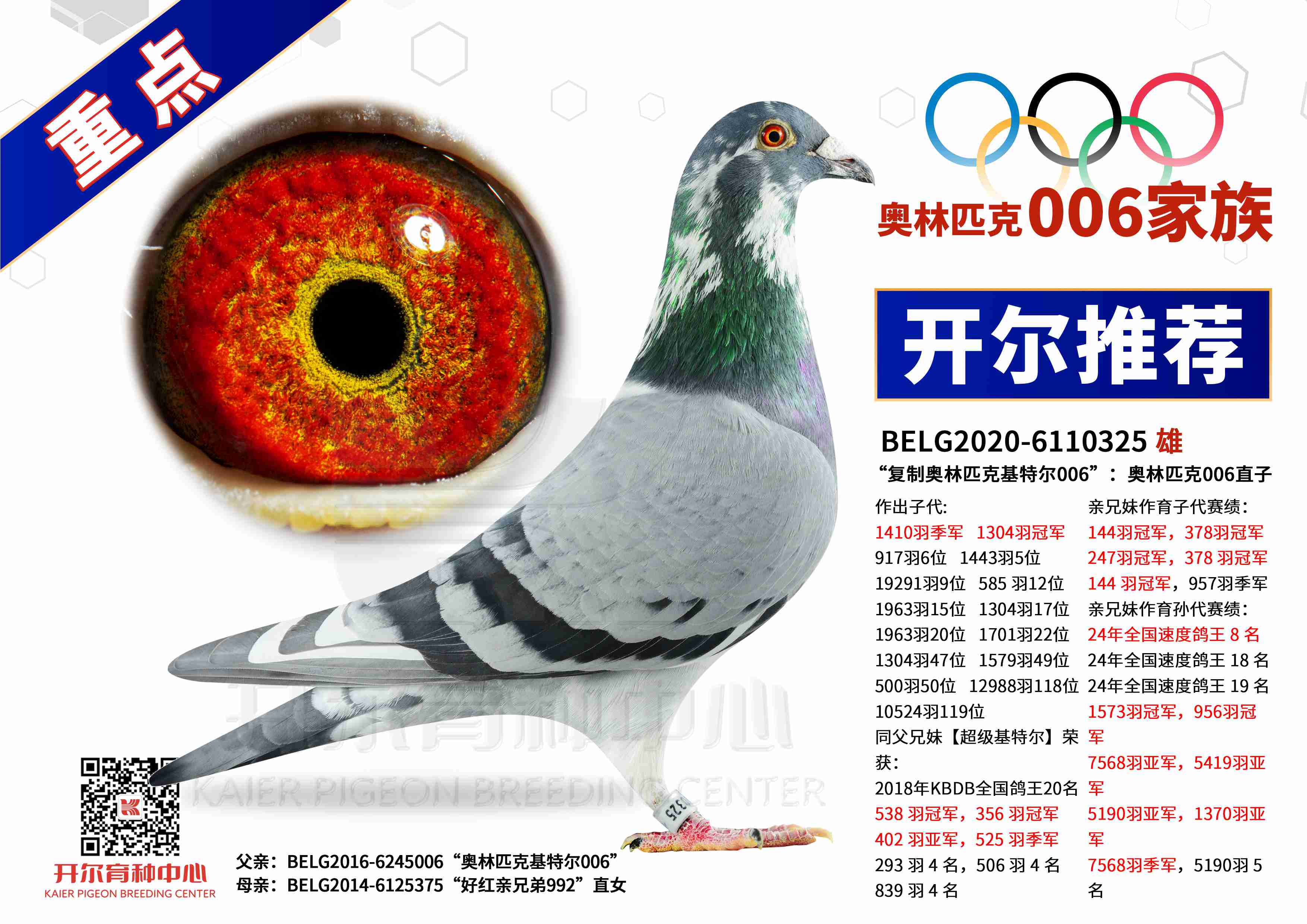 006ֱ-ưƥ˻ض006