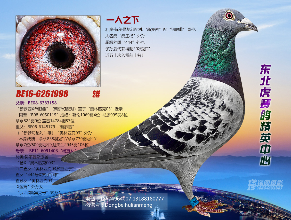 һ֮