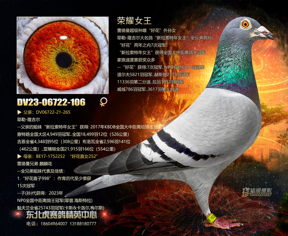 sҫŮ