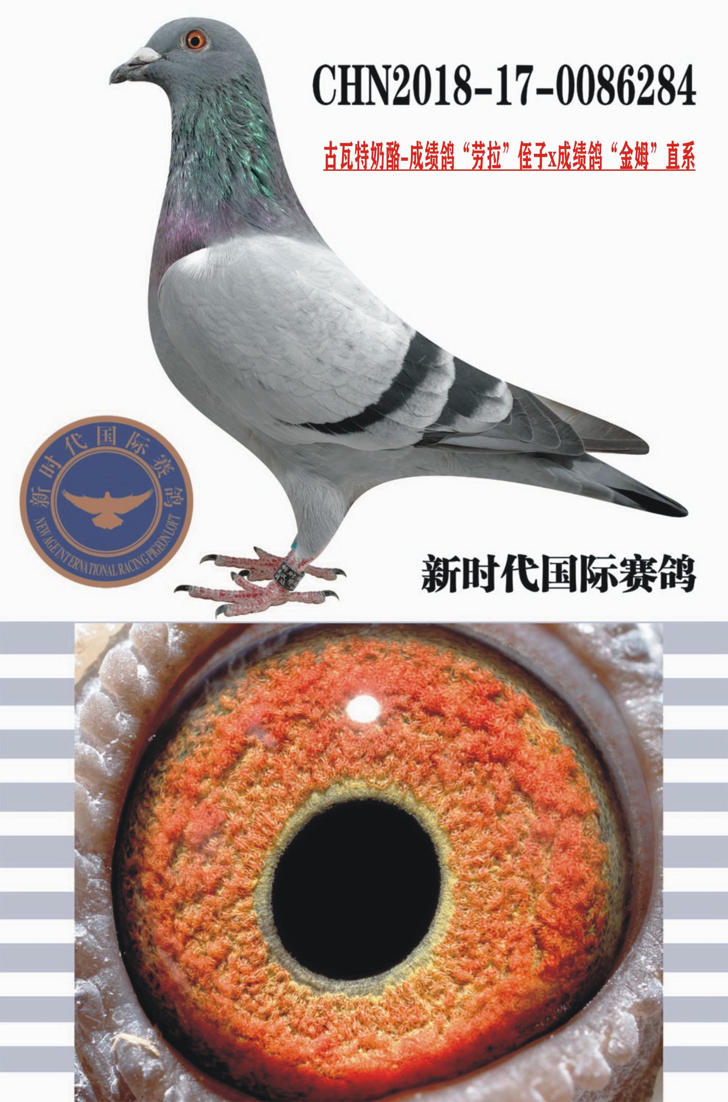 -xķֱϵ