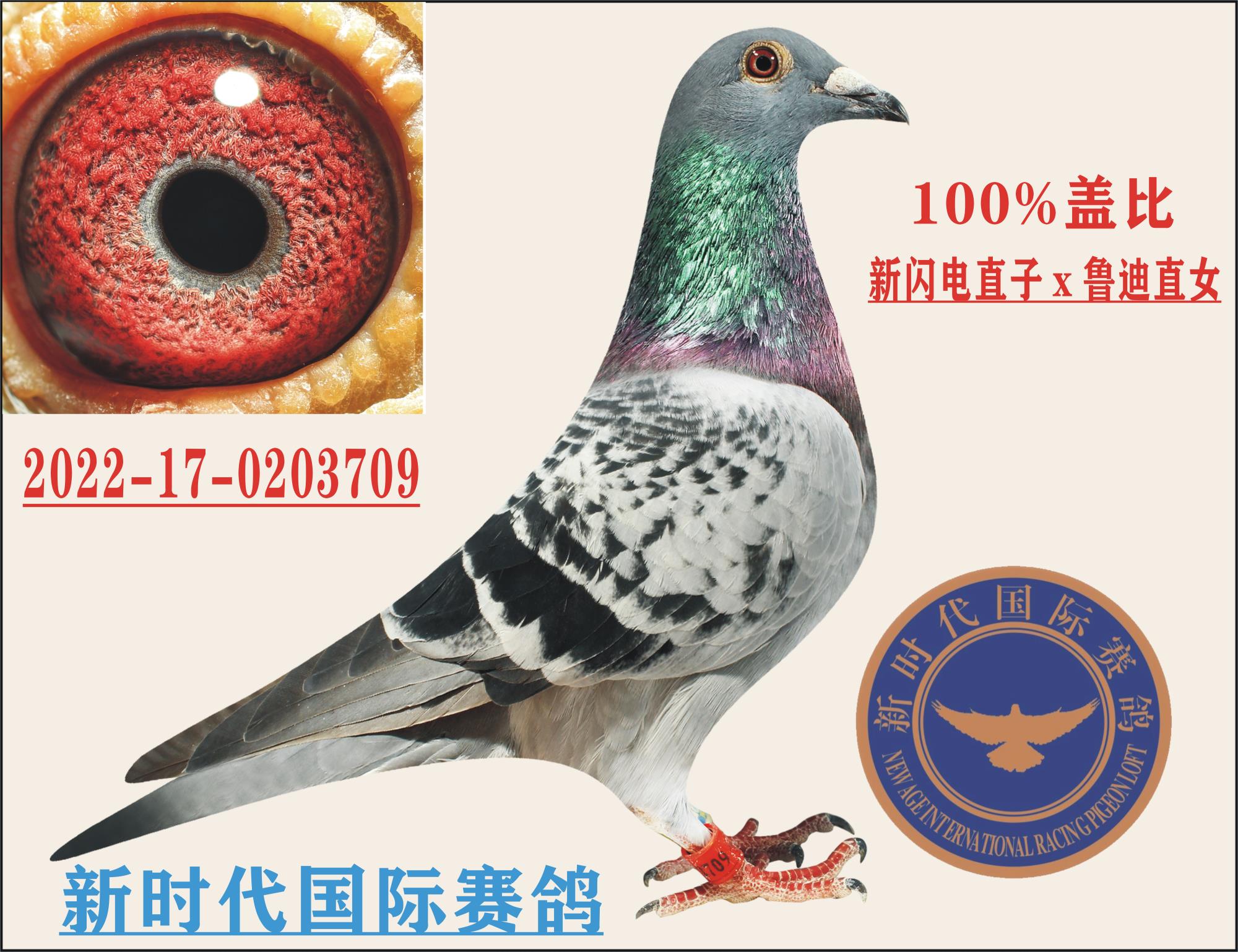 Ǳȡ硱ֱx ³ϡֱŮ