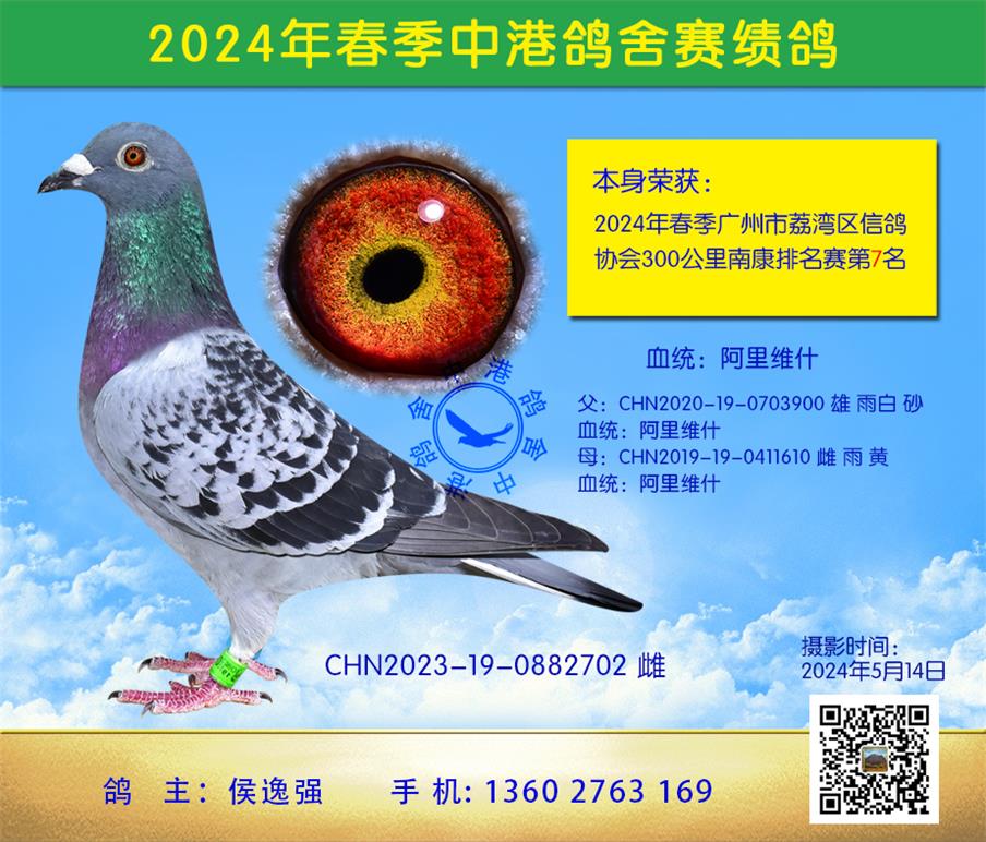 2024괺300Ͽվ7