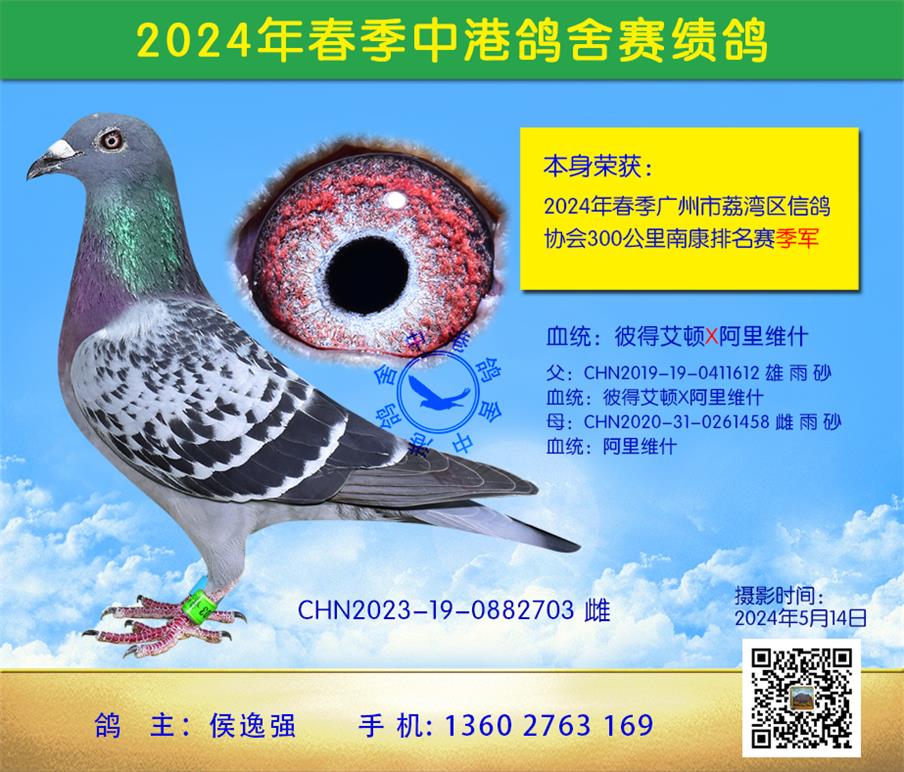 24괺300Ͽվ
