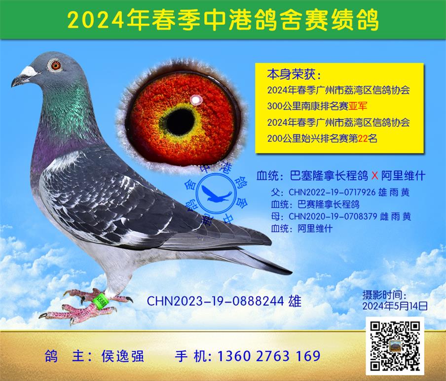 24괺300ϿվǾ
