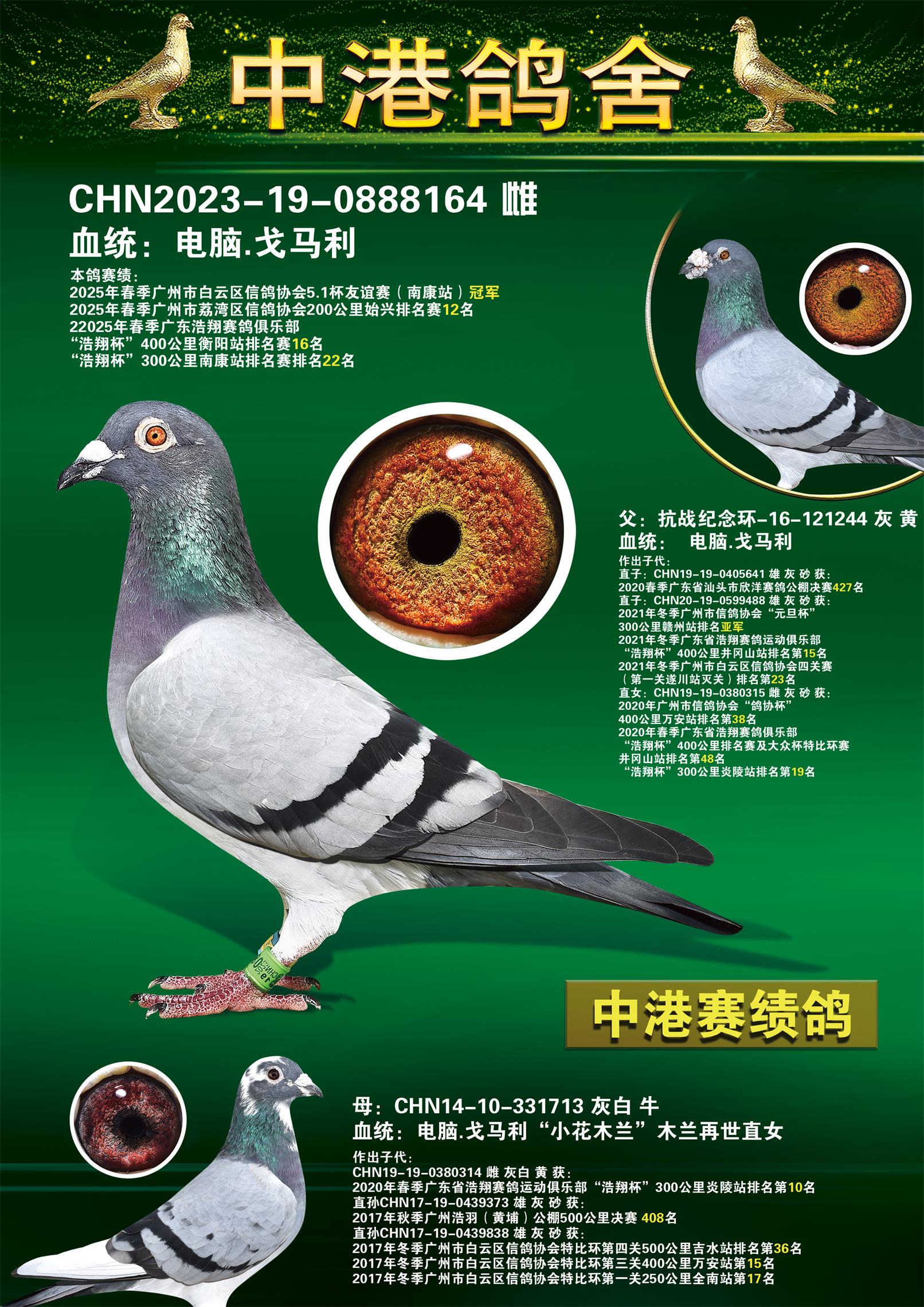 25ꡰ걭Ͽվھ