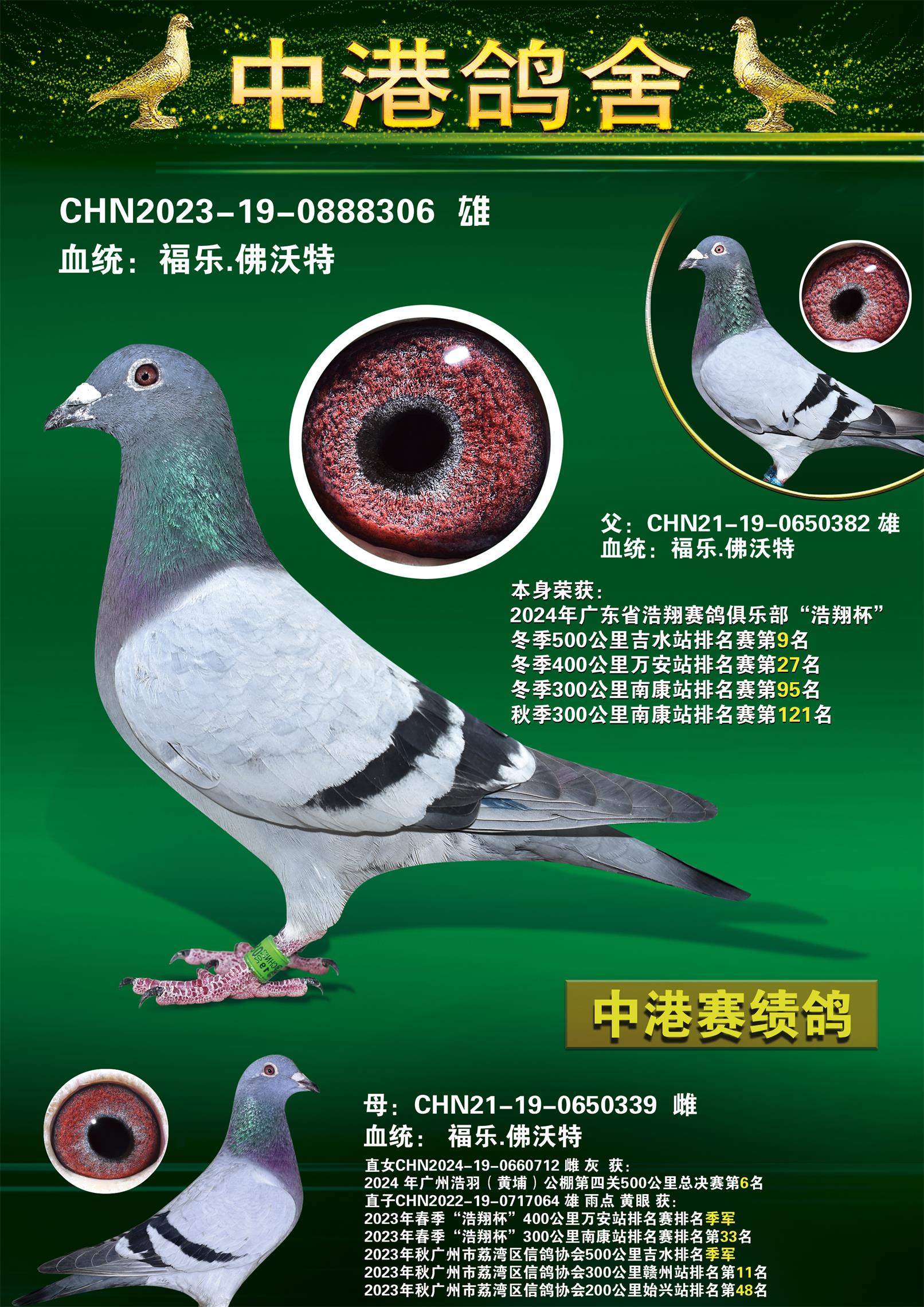 24궬500Ｊˮվ9