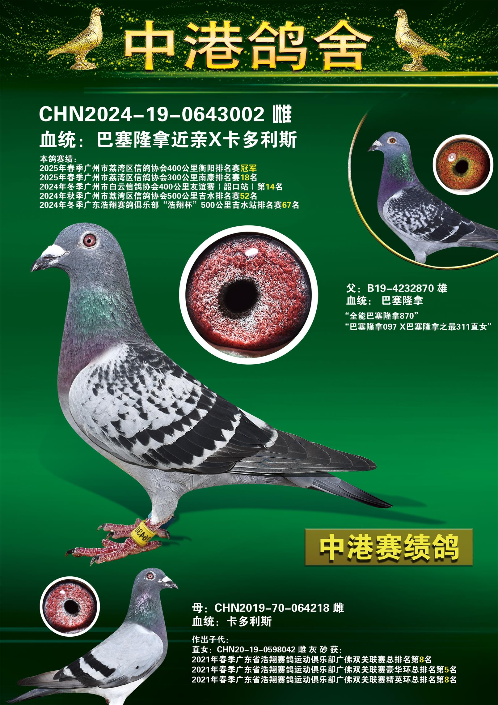 25괺400վھ
