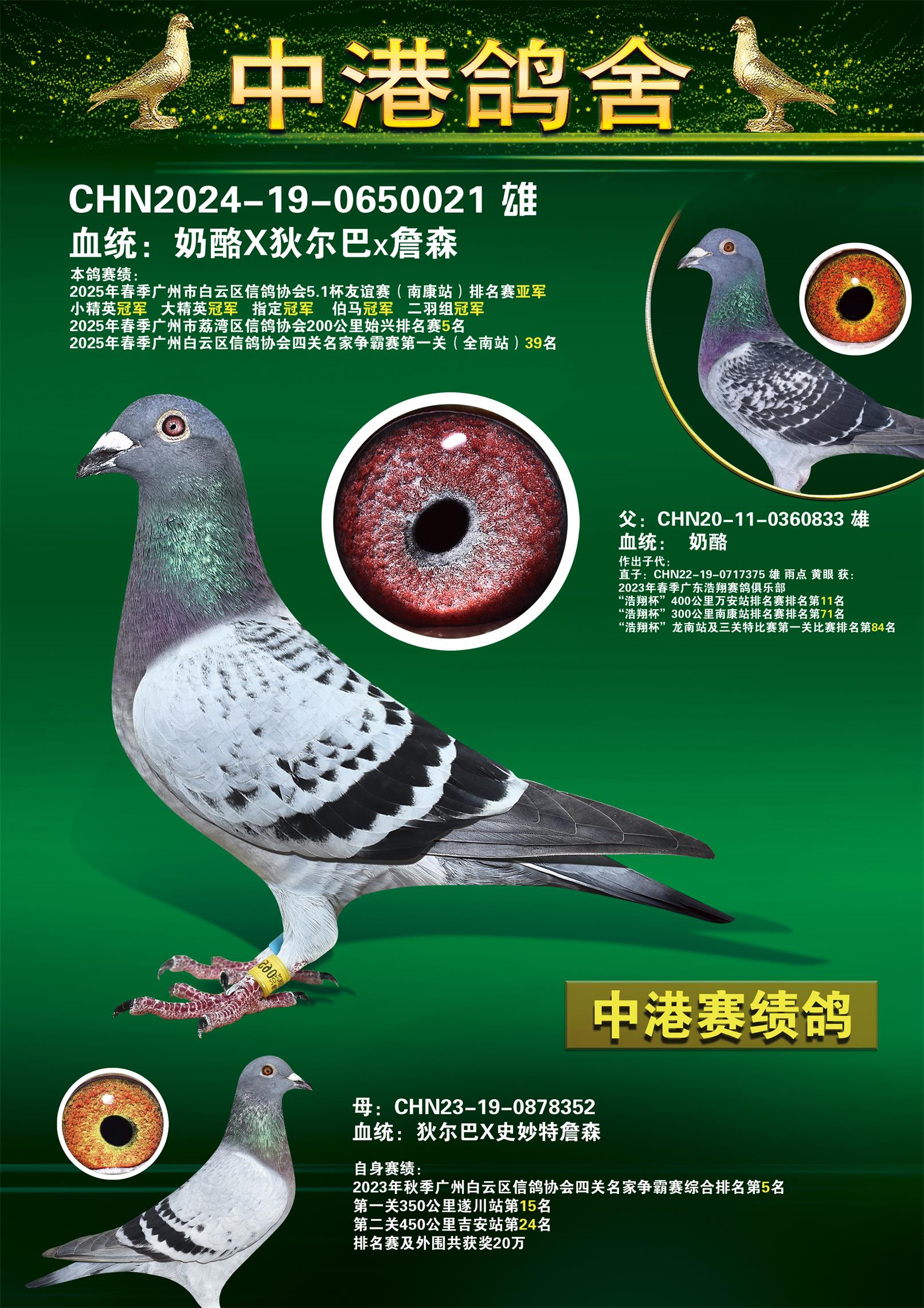 25괺200ʼվ5