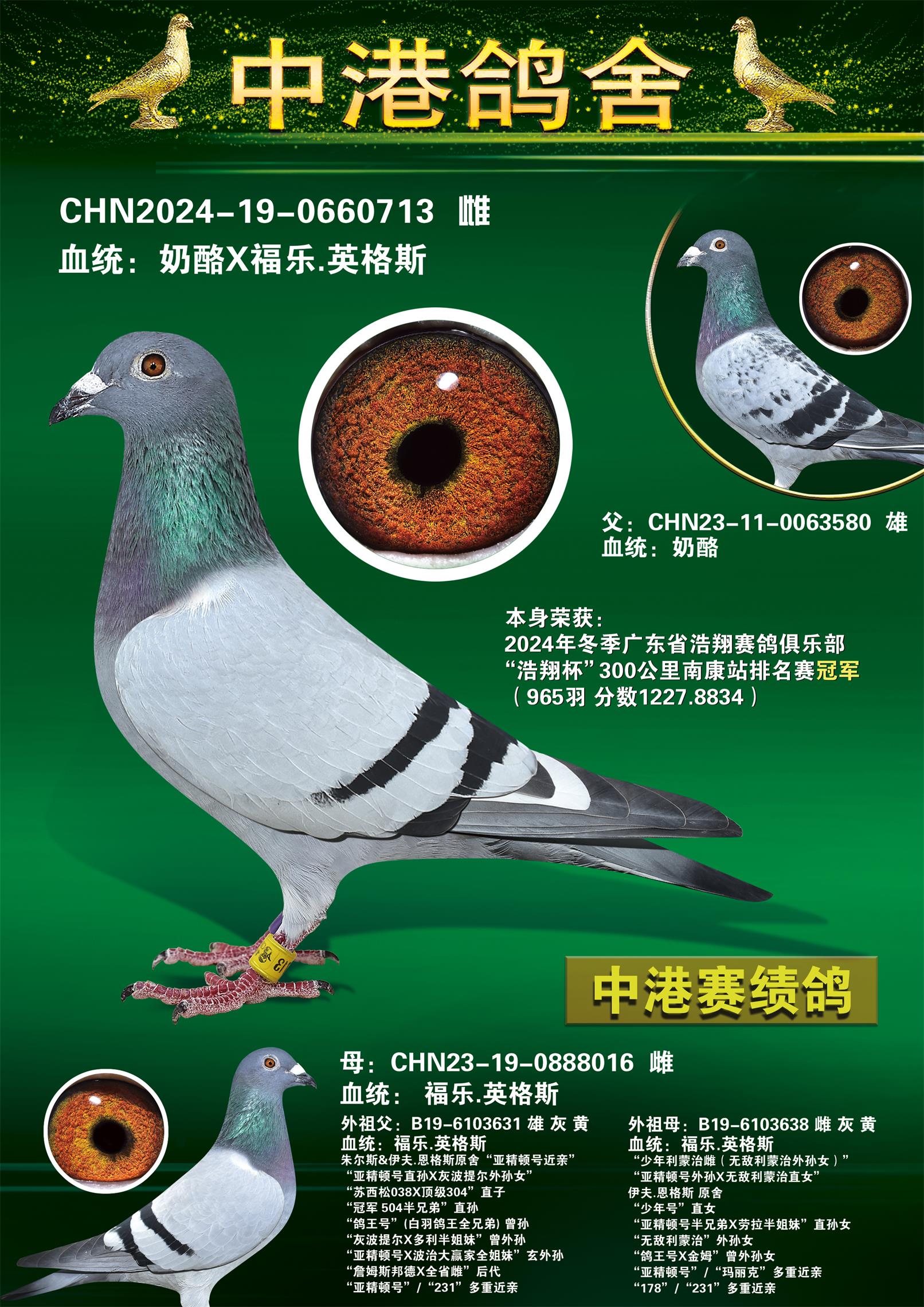 2024궬300Ͽվھ