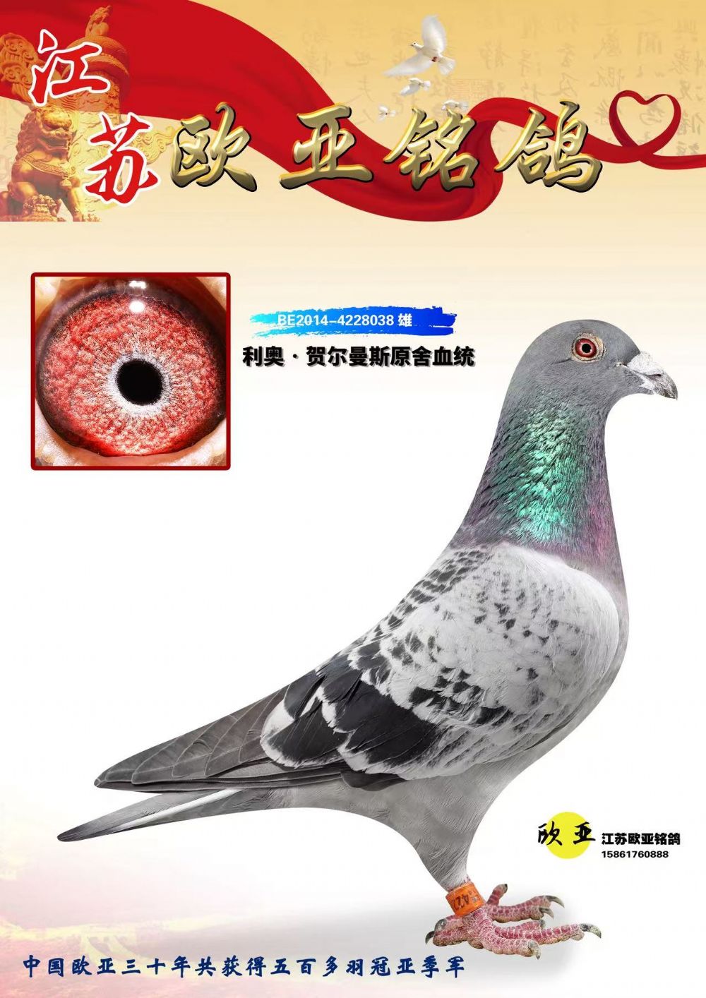 BE14-4228038  ��