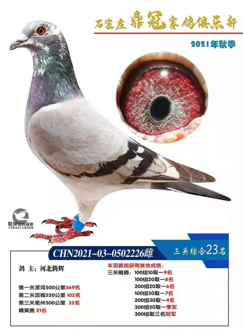 δ